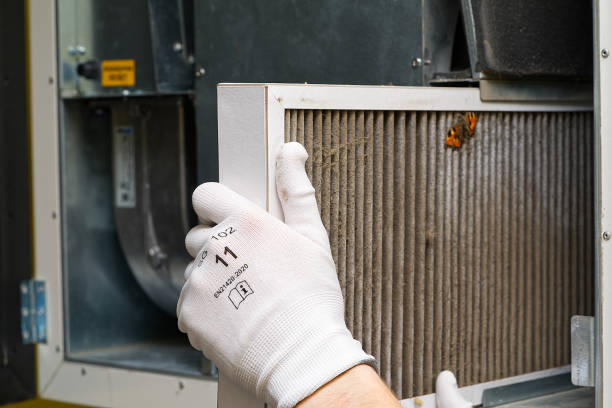 Best Dryer Vent Cleaning Services  in Pato, WA