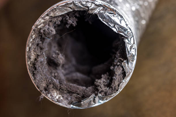 Best Duct Cleaning Specialists  in Pato, WA