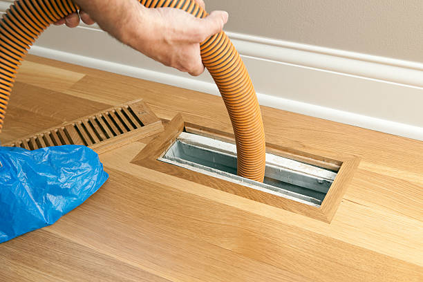 Best Local Air Duct Cleaning Services  in Pato, WA