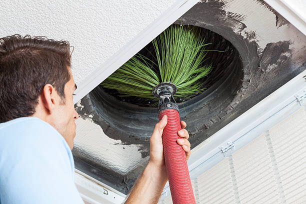Best Affordable HVAC Duct Cleaning  in Pato, WA